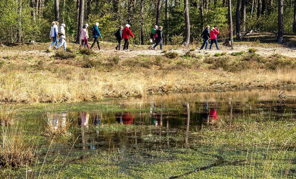 Harba Lorifa Vandrehjem Valkenswaard Eksteriør billede
